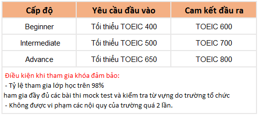 cao do xep lop TOEIC dam bao tai QQ IT Park