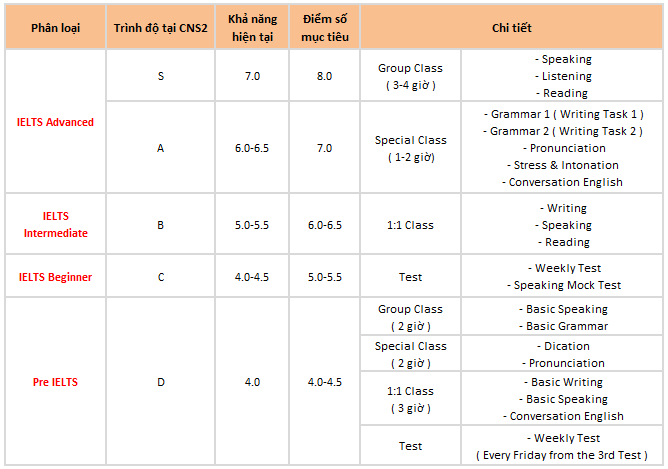 các môn học của khóa IELTS tại CNS2