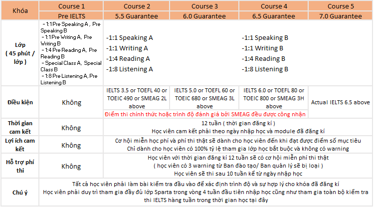 chương trình học IELTS tại SMEAG Classic