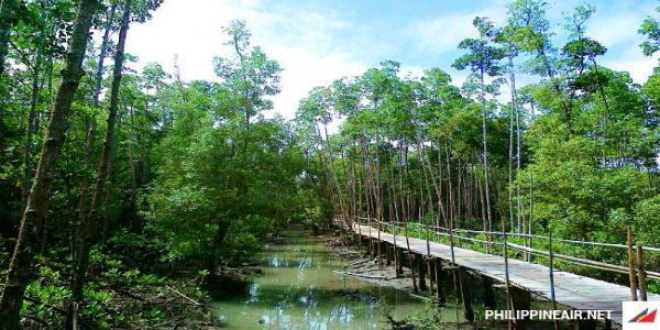 kinh-nghiem-du-lich-kalibo-philippines