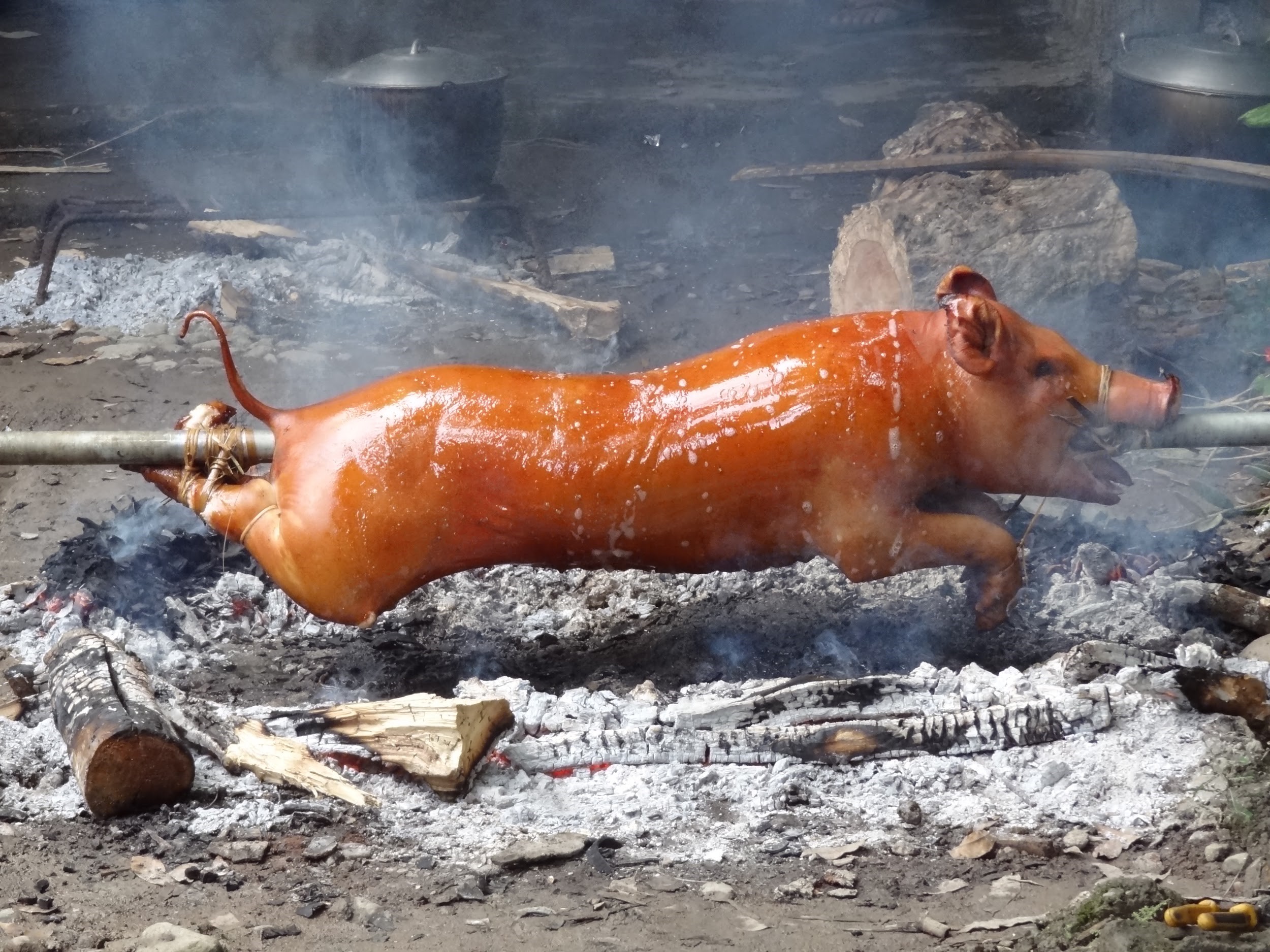 mon-lechon-tai-thanh-pho-cebu