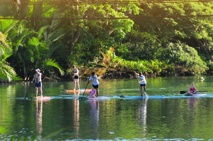 cheo-thuyen-tren-song-loboc