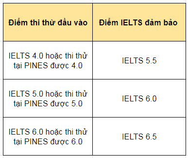 ielts-dam-bao-truong-anh-ngu-pines